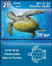Stamp:Green Turtle  (Turtles in the Marine Environment), designer:Tuvia Kurttz, Ronen Goldberg 02/2016